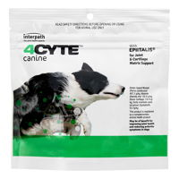 4CYTE Canine Joint Support Supplement Granules for Dog for Dogs