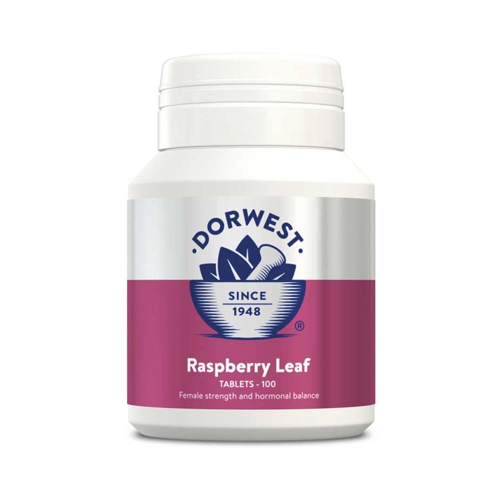 Dorwest-Raspberry-Leaf-Tablets-for-Dogs-and-Cats-100tabs_08072023_051855.jpg