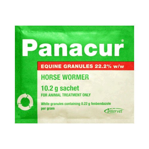 Panacur Equine Granules for Horse Supplies