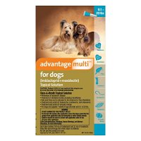Advantage Multi (Advocate) Medium Dogs 9.1-20 lbs (Aqua)