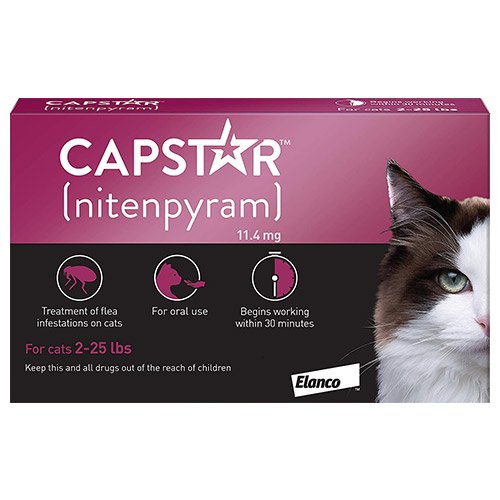 capstar-cat-purple.jpg
