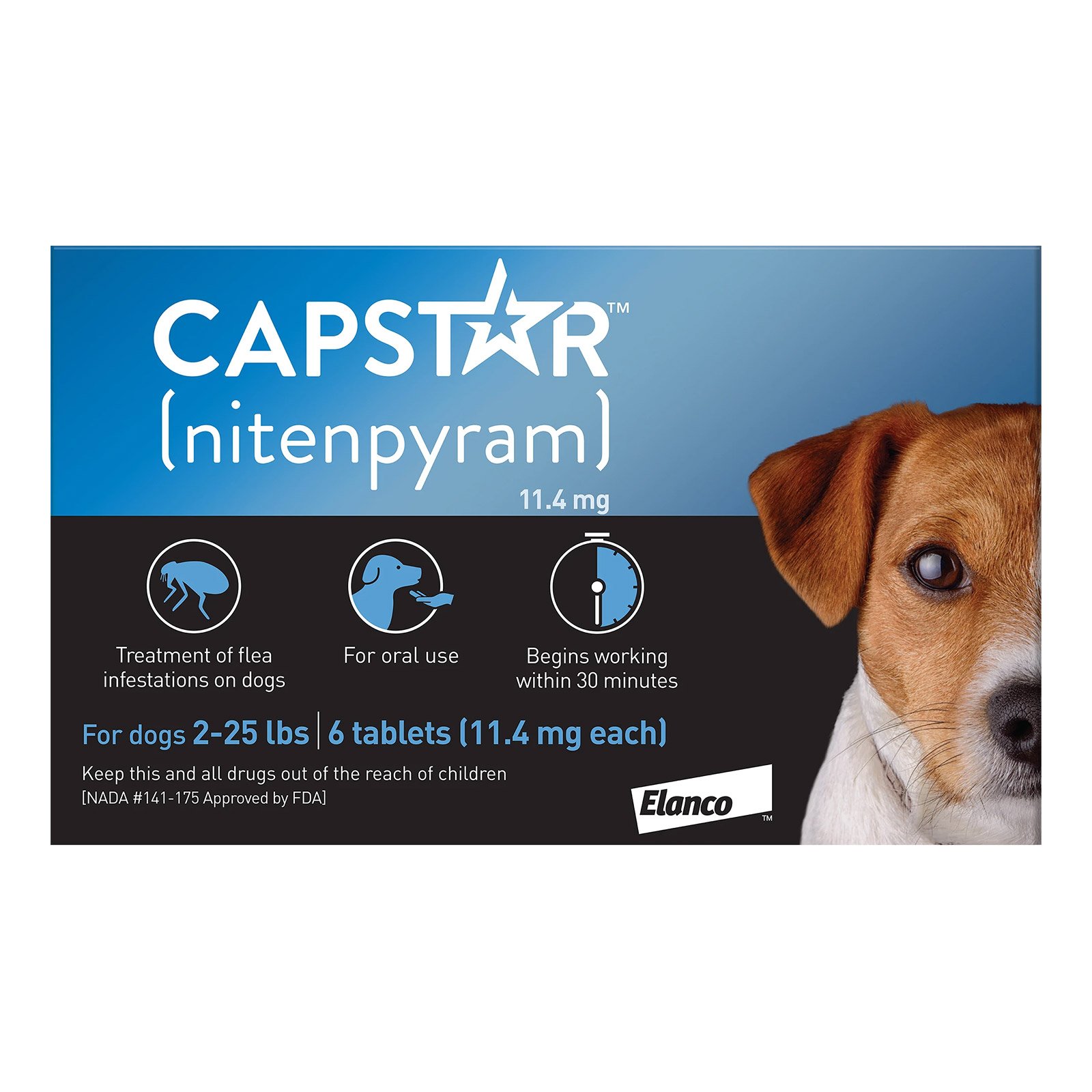 capstar-dog-blue-1600_03232023_222604.jpg