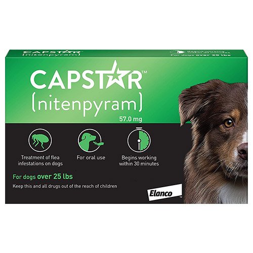 capstar-dog-green.jpg
