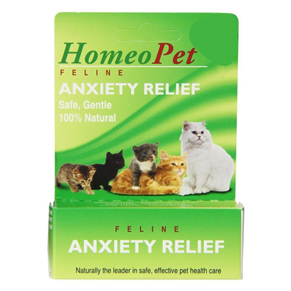 feline-anxiety-relief-for-cats-1600.jpg