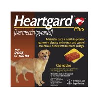 Heartgard Plus for Large Dogs 51-100lbs (Brown)