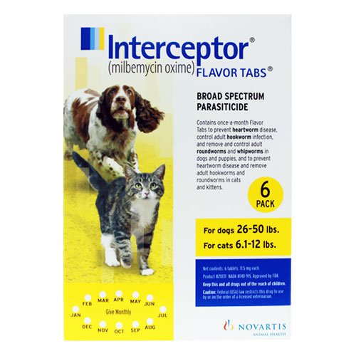 Interceptor for Medium Dogs 26-50 lbs (Yellow)