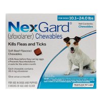 Nexgard for Medium Dogs 10.1-24 lbs (Blue) 28mg