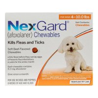 Nexgard for Small Dogs 4-10lbs (Orange) 11mg