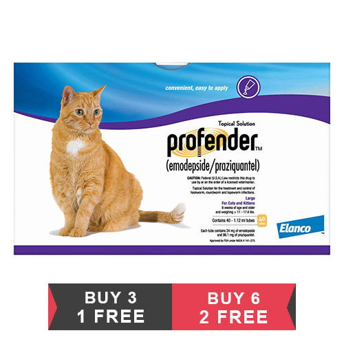 profender-large-cats-112-ml-11-176-lbs-1600-of.jpg