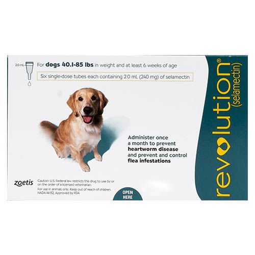 Revolution for Dogs