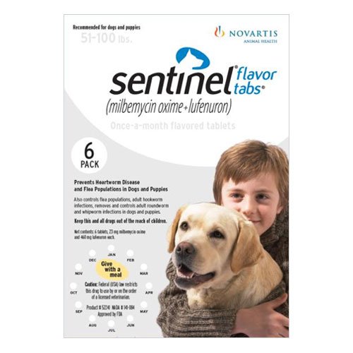 Sentinel for Dogs