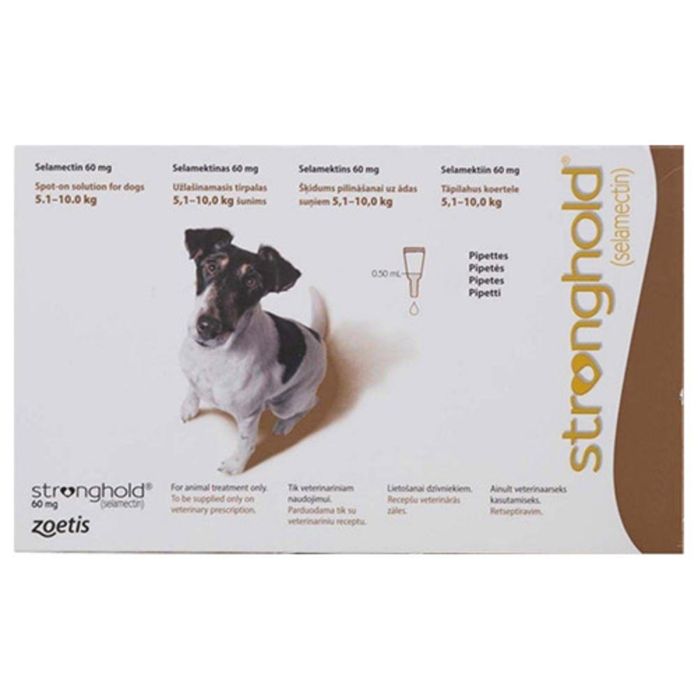 stronghold-dogs-51-100-kg-60-mg-brown-1600.jpg