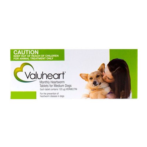 Valuheart For Medium Dogs 23-44 lbs Green