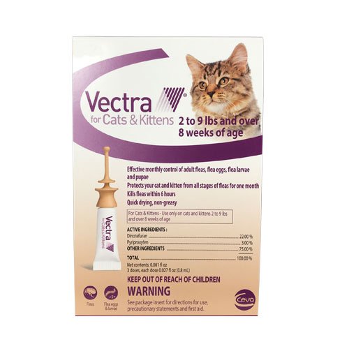 vectra-for-cats.jpg