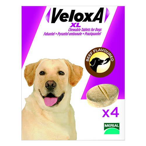 Veloxa XL Chewable Tablets for Large Dogs up to 35 kg (77lbs)