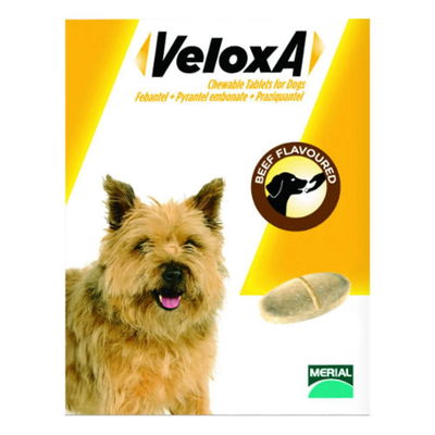 Veloxa for Dogs